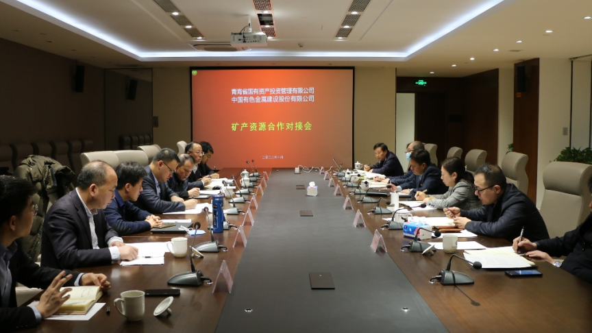 华体会买球官网(中国)有限公司与中国有色股份开展矿产资源合作洽谈